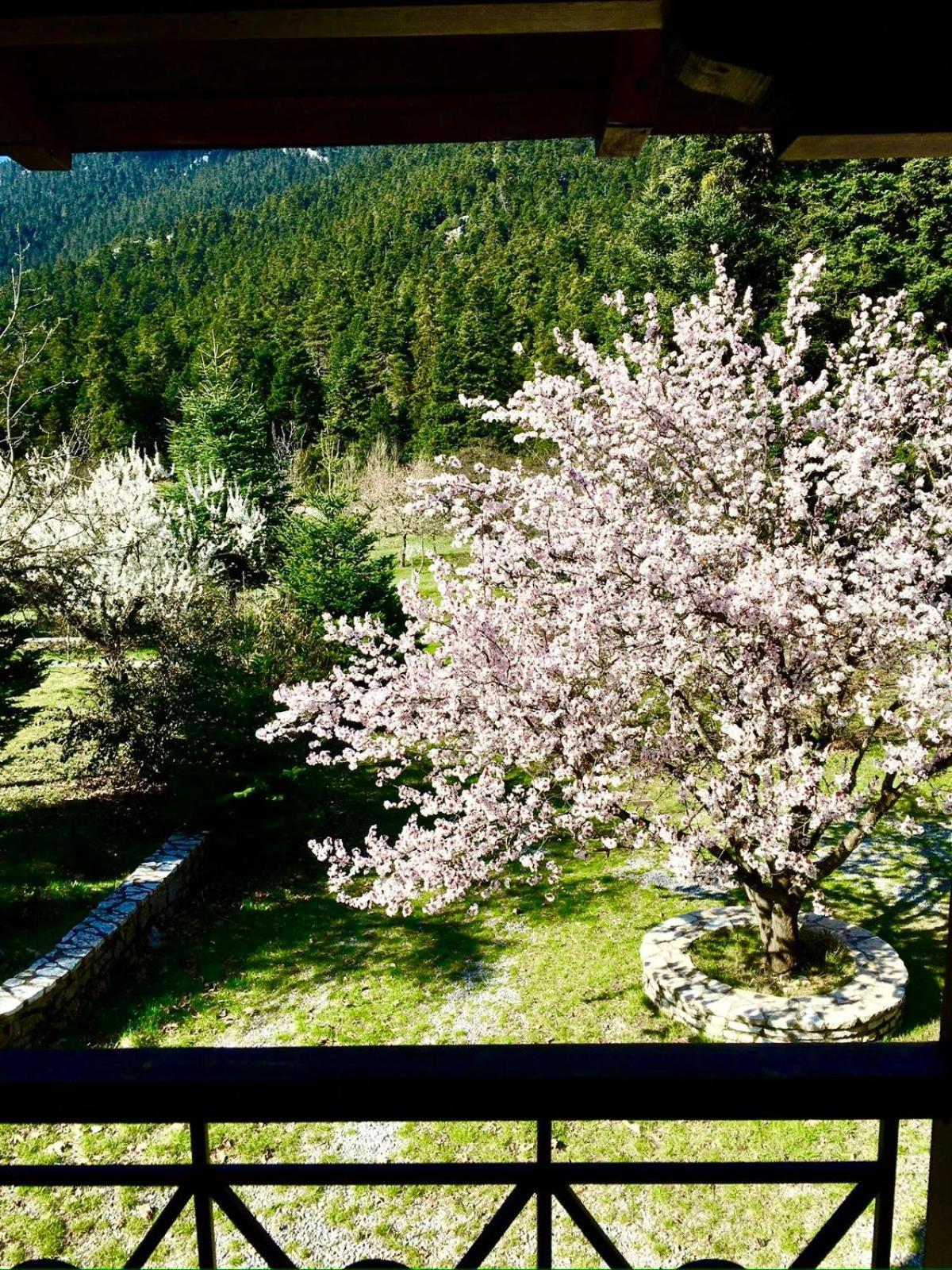 Alpine Escape Maisonette By Ski Alure Arachova Buitenkant foto
